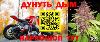 спиды Коммунар